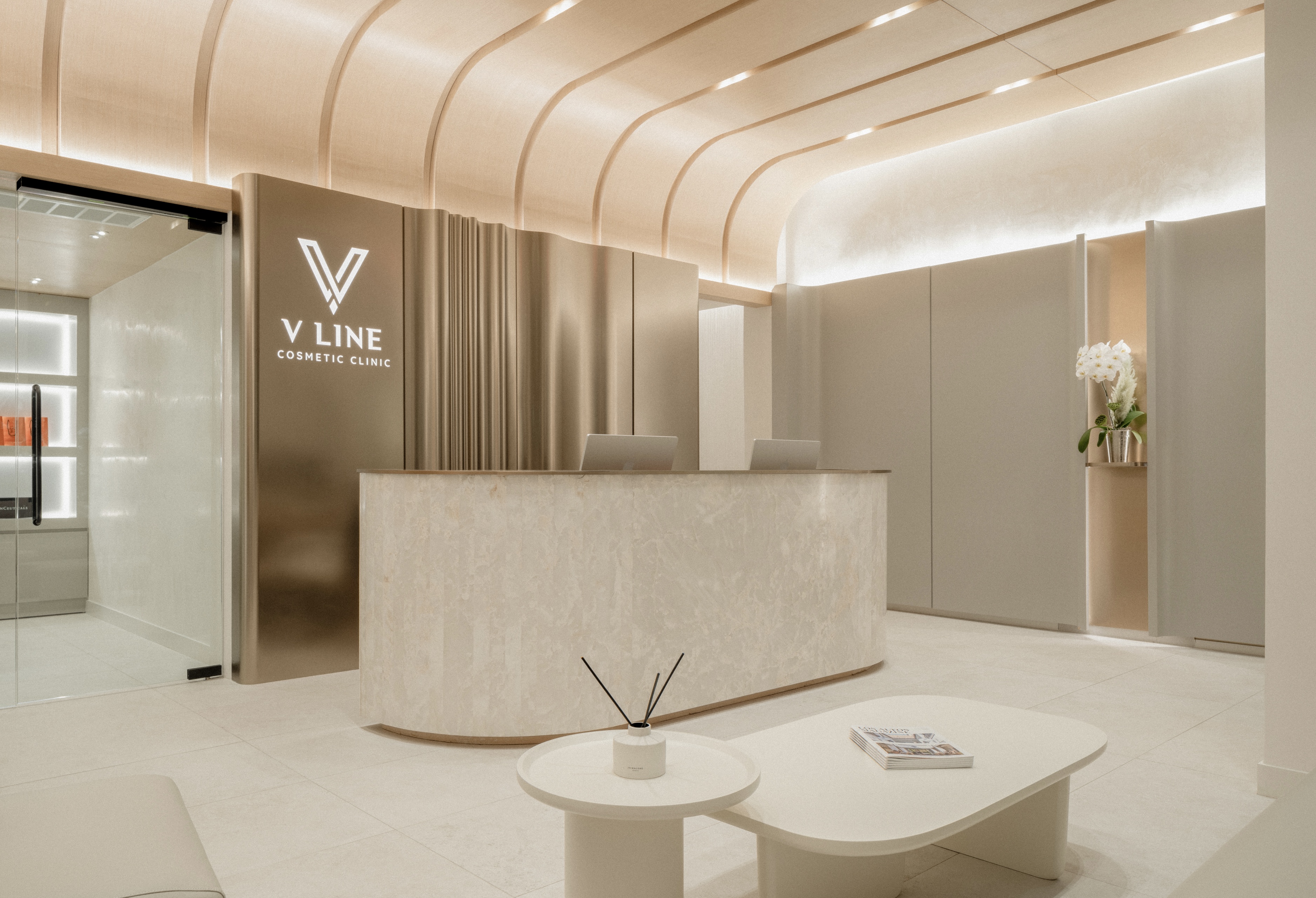 V Line Cosmetic Clinic reception